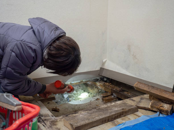 Best Comprehensive Air Testing for Mold Contaminants  in Ller, WA