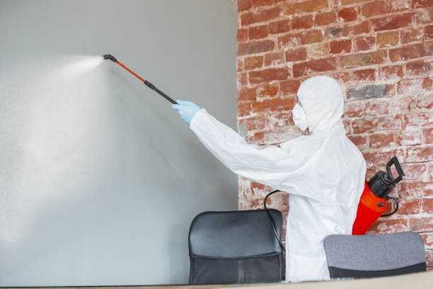 Best Asbestos and Lead Testing During Mold Inspection  in Ller, WA