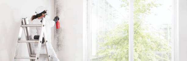 Best Forensic Mold Investigation  in Ller, WA