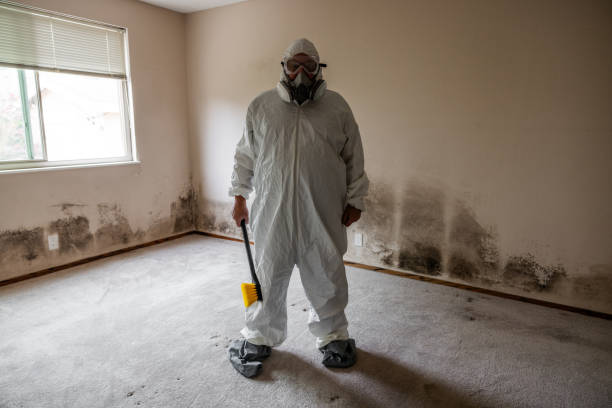 Best Crawl Space Mold Remediation  in Ller, WA